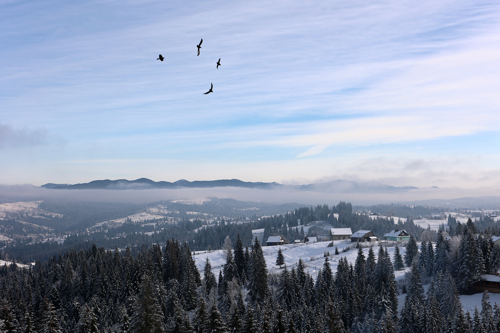 Інтернет Starlink і генератор. Яке житло українці шукають на зиму в Карпатах